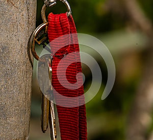 Keys on red strap keyring