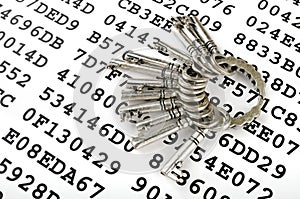 Keys on a sheet with encrypted data