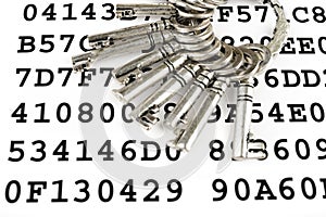 Keys on a sheet with encrypted data