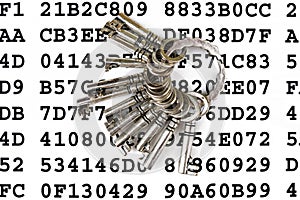 Keys on a sheet with encrypted data