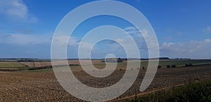 Keysley Down  ancient downs Wiltshire,  uk