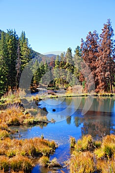 Keystone Colorado Fall Landscape