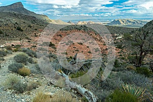 The Keystone Thrust trail in Red Rock Canyon National Conservation Area, Nevada, USA