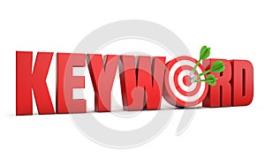 Keyword target