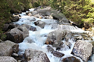 Kezmarska Biela voda river in Hight Tatras