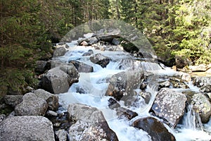 Kezmarska Biela voda river in Hight Tatras