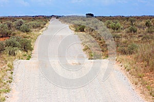 Kgalagadi sand road. Normal Kalahari road acros red dunes photo