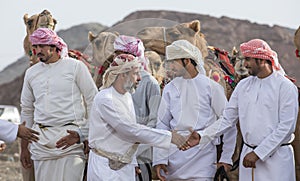 Omani men with their camels in a countryside