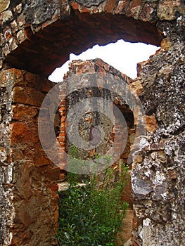 KHAKI BUSH GROWING IN THE DOOR OPENING OF AN OLD STONE FORT IN RUIN