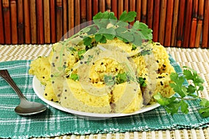 Khaman dhokla indian gujrati snack fast food dish