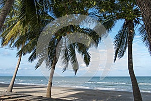 Khanom beach Nakhonsitammarat , Thailand. photo