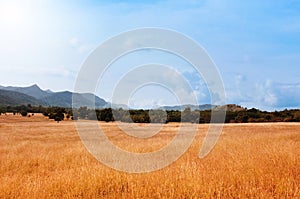 Khao Hua Lon or Phu Khao Ya, Ranong, Thailand. Grass Mountain with wild feild landscape