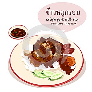 Khao Moo Grob or Crispy pork with rice delicious Thai food.