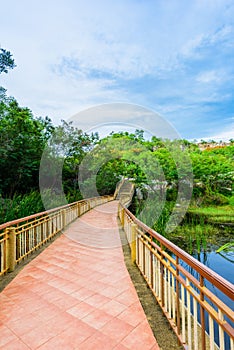 Khao Ngu Stone Park at Ratchabri, Thailand