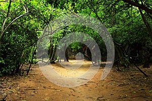 Khao Sam Roi Yot National Park Pathway, Thailand