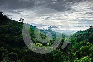 Khao Sok National Park landscape, Thailand