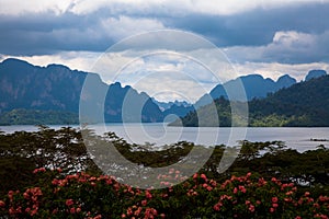 Khao Sok National Park at pointview