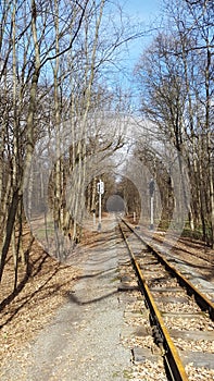 Kharkiv, Ukraine - railway with semaphores in forest park