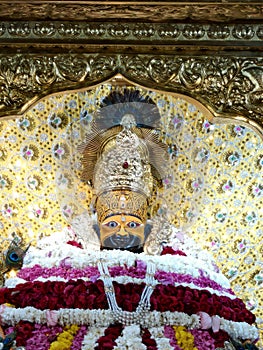 Khatu Shyam temple in rajasthan