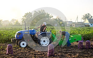 Kherson oblast, Ukraine - September 19, 2020: Farm workers on a tractor drives across field and harvests potatoes