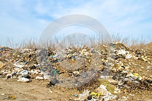 KHERSON, UKRAINE - MARCH 28, 2020: Heaps of garbage in the forest. Illegal garbage dump in nature. Environmental and air pollution