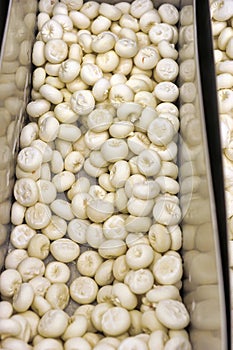 Khinkali frozen in the supermarket