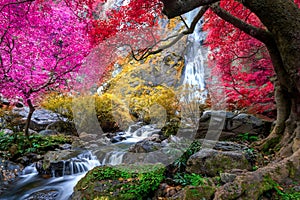 Khlong Lan waterfall is a beautiful Waterfalls in the rain forest jungle Thailand