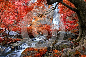 Khlong Lan waterfall is a beautiful Waterfalls in the rain forest jungle Thailand