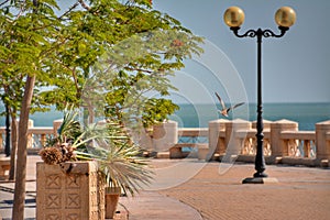 Khobar sea front walk