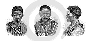 Khoikhoi people| Antique Ethnographic Illustrations photo