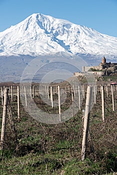 Khor Virap and Mount Ararat in Armenia