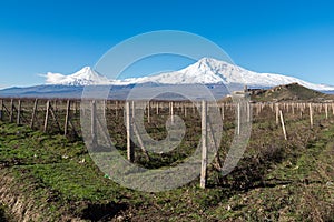 Khor Virap and Mount Ararat in Armenia