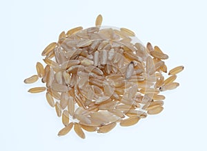 Khorasan wheat, Kamut
