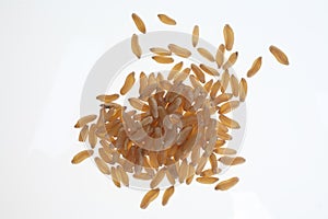 Khorasan wheat, Kamut