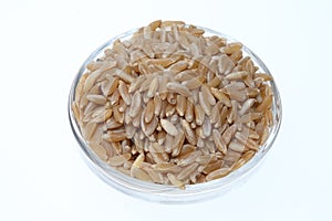 Khorasan wheat, Kamut