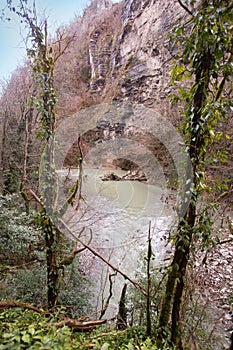 Khosta river in Yew-boxwood grove in spring in Sochi city, Russia