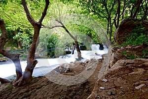 Khurmal Forrest in mountains of autonomous Kurdistan region near Iran photo