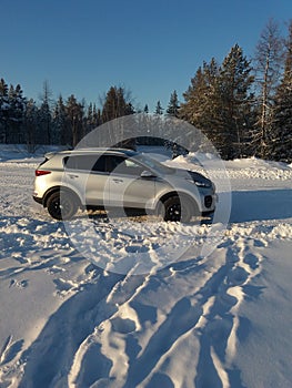 Kia Sportage on the background of a winter forest photo