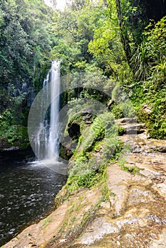 Kiate Falls in Tauranga