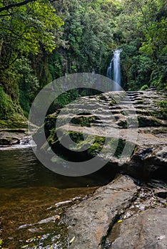 Kiate Falls in Tauranga