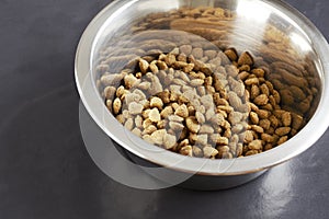 Kibble dog or cat food in bowl