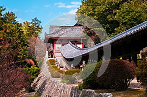 Kibitsu Jinja Shrine - Okayama - Japan
