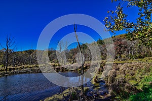 Kickapoo River at the Kickapoo Valley preserve in Fall