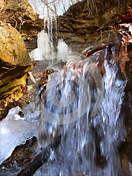 Kickapoo State Park Illinois