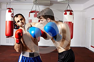 Kickbox sparring