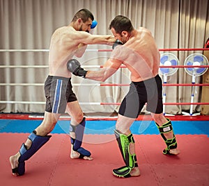 Kickboxers sparring in the ring