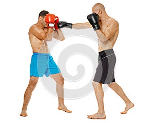 Kickboxers sparring on white