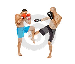 Kickboxers sparring on white