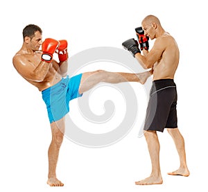 Kickboxers sparring on white