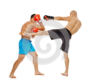 Kickboxers sparring on white